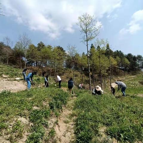 平江县幕阜国有林场结合党员活动日开展义务劳动