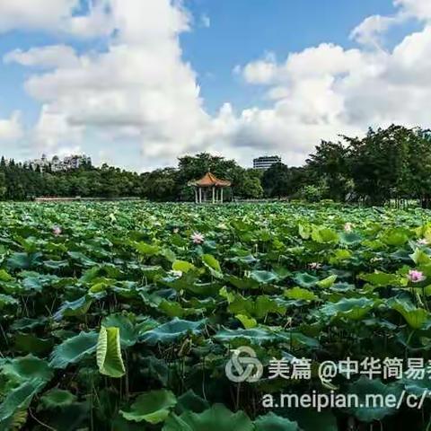 五行养生行走法一一简易的养五脏六腑的十种行走方法（“行如风”）