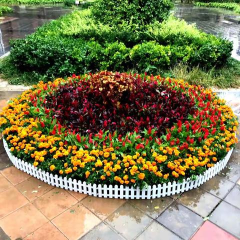 团团圆圆过中秋，我们巧手做月饼