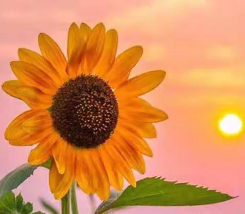 阶段测试，总结反思，共待阳光——记关圣街小学语文教研活动