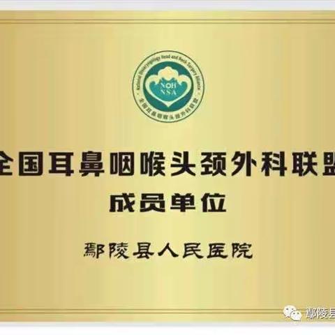 【中原情·中原行】省医专家到鄢陵县人民医院耳鼻喉科进行义诊。