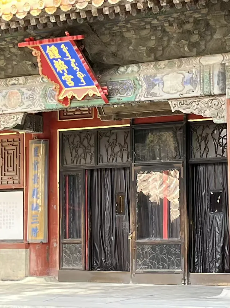 故宫钟粹宫的玉兰