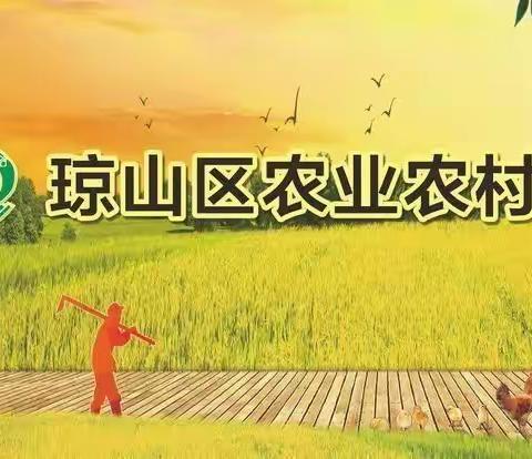 勇担当、勤作为，积极助力打赢疫情防控阻击战