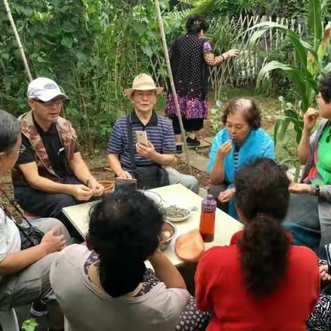 愉快美好的郊游1