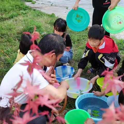 “绿化操场 种植希望”——大牡露小学四月份活动简讯