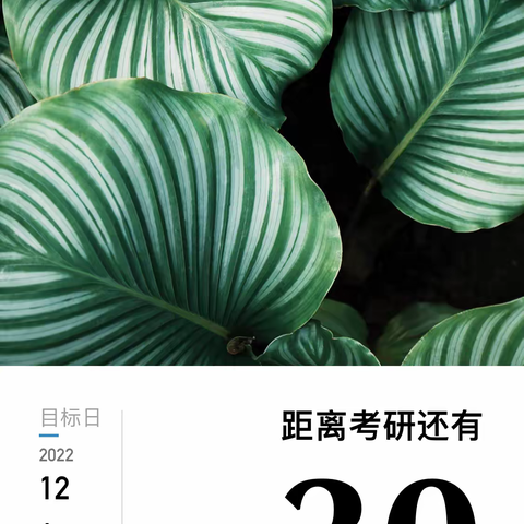考研最后30天!