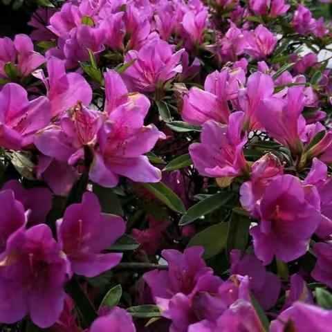 2017和朋友一起走过的地方，美好的时光，永久回意。