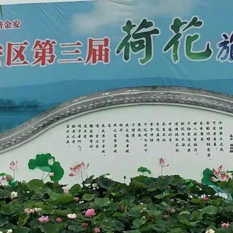 木兰姐妹游木南荷花节