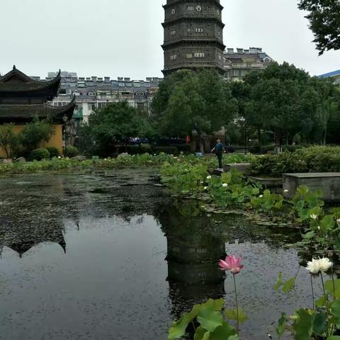 我们美丽大六安南塔！