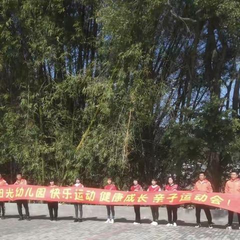 阳光明媚的美篇