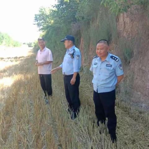 凤翔森林派出所及时处置一起涉林纠纷