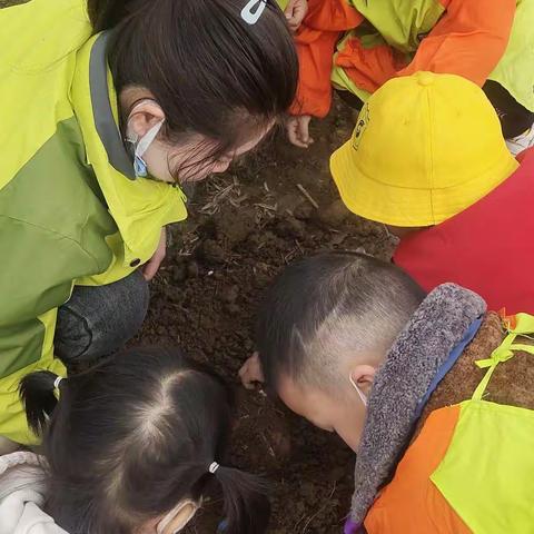 亲近自然    快乐采摘