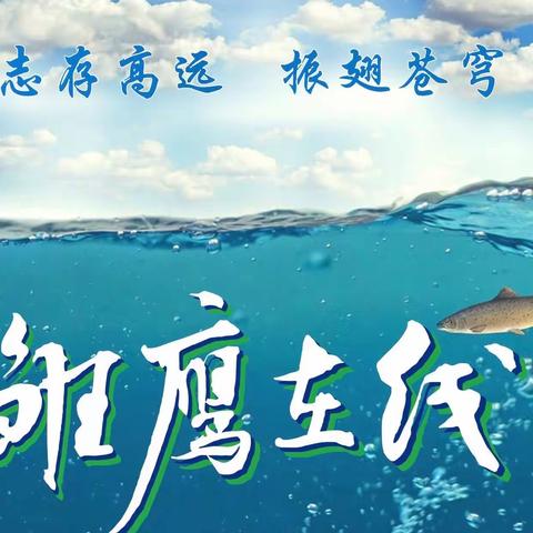 💙💚雏鹰在线（第1期）﻿高新二小🌟1701雏鹰中队，🌈越努力💪越幸运🦅💗