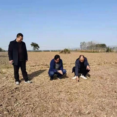 许昌市社会养老保险中心到对口帮扶村调研指导小麦备播工作