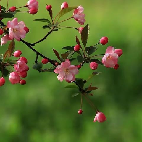 快快乐乐品美食，扎扎实实学汉字——记泸高分校小学低段语文组教研活动