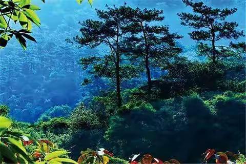 “学之桥”暑假夏令营来袭:一日游小黄山+长泰漂流