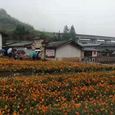 沙县区2021年科级干部进修班进入异地培训阶段