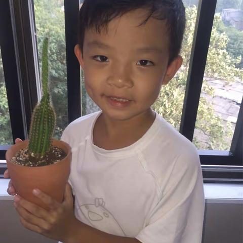 王逸凡最喜欢的植物🌵