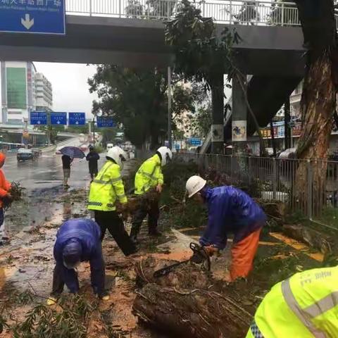 抗台风“帕卡” 保平安畅通 罗湖交警在路上