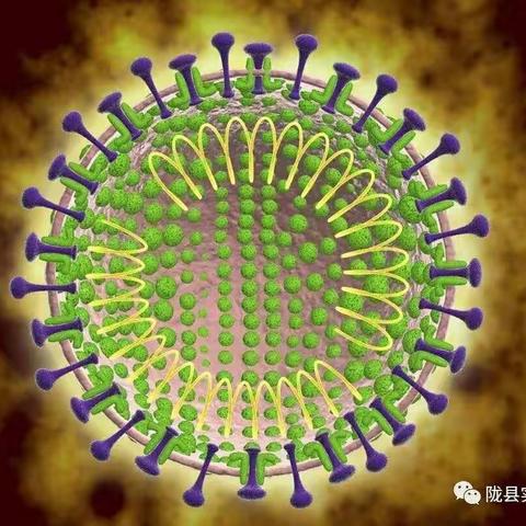 东风镇杜阳小学新型冠状病毒防控告家长书