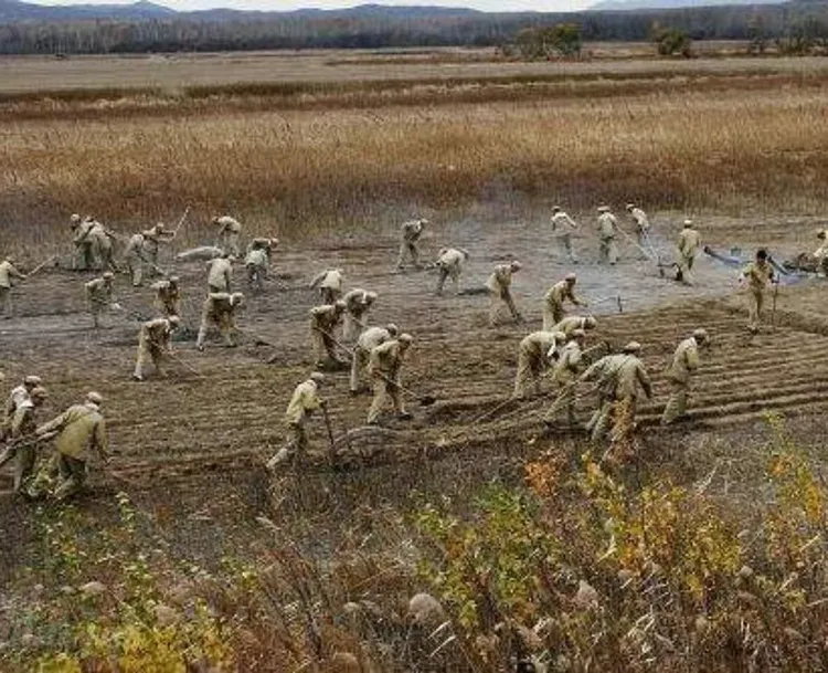 北大荒之歌一一献给兵团的老同学（副本）