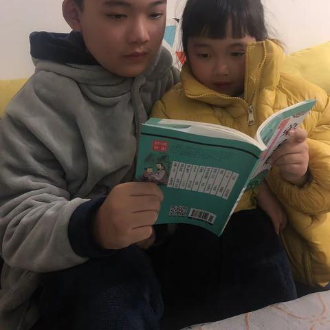 静待花开的美篇