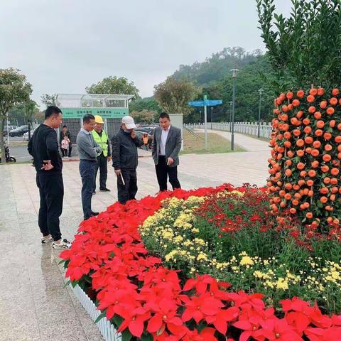 [山湖石岩] 干净文明迎春节—开展春节前全街道市容环境“大检查、大扫除、大整治”三大行动