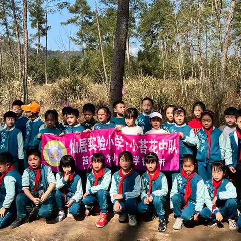 春风十里，不及一抹绿意！今日植树节，让我们一起种下希望