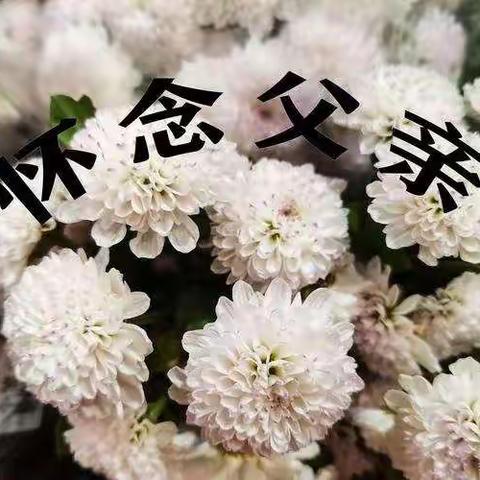 《怀念父亲》     写在父亲三周年祭日之感想（副本）