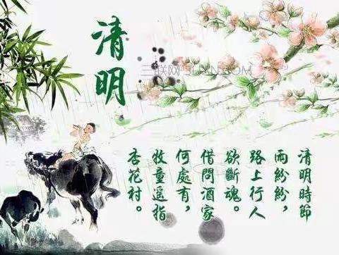 小小清明粿    浓浓节日情一一武义县桐琴镇中心小学101班王琳倩篇