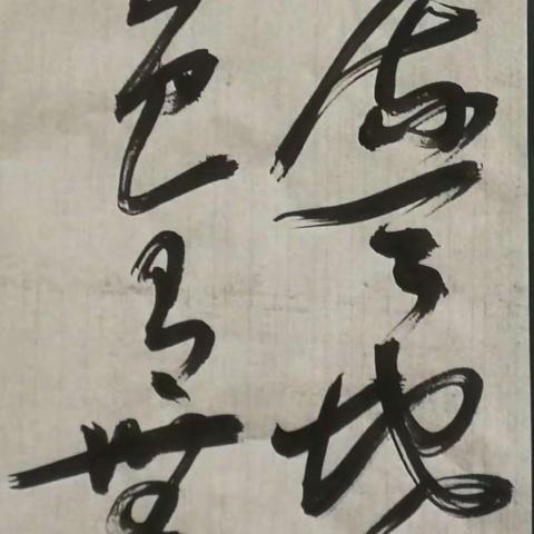 游走于黑白间，酣畅淋漓写精神，无法之法，乃为至法！