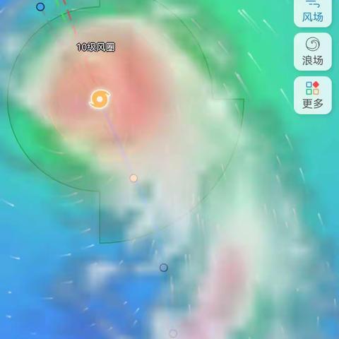 台风蝎虎