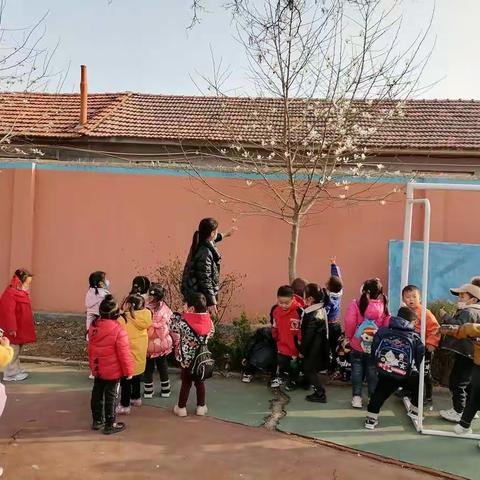 莱阳市白藤口小学附属幼儿园中班