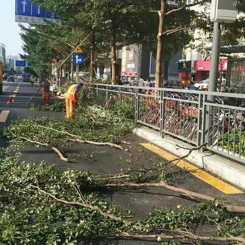 民治街道2017年10月21日绿化作业情况汇报