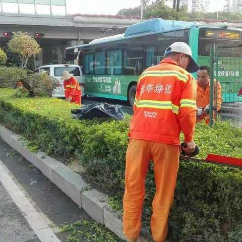 民治街道2017年10月22日绿化作业情况汇报