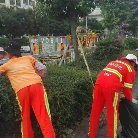 民治街道2017年10月25日绿化作业情况汇报