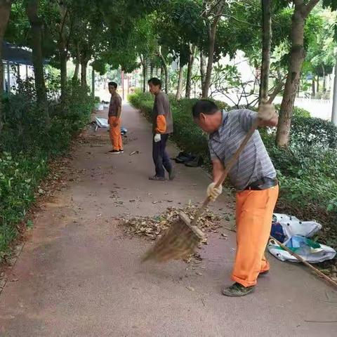 民治街道2017年10月20日绿化作业情况汇报