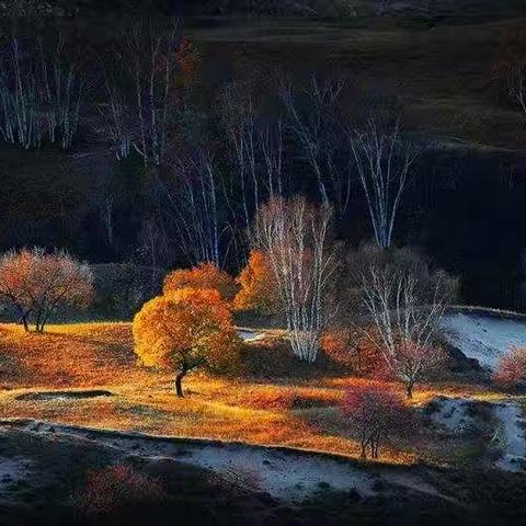 讲座《金秋乌兰布统风光摄影拍摄技巧及攻略》