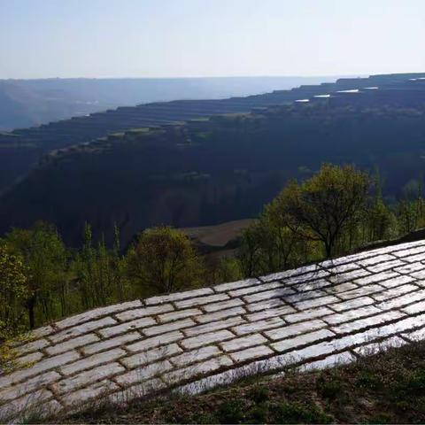 乡村曲线美景