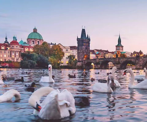 一万元可以做16个项目,年轻人小成本创业项目