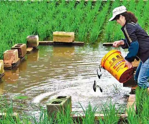 适合穷人没本钱的创业路,适合新手做的小生意,小本生意做什么好