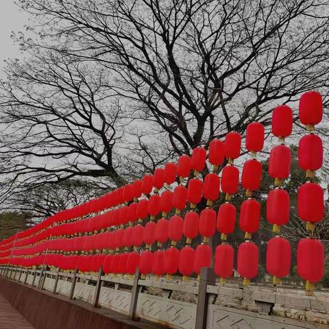 辞虎迎兔心向暖