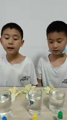 梦不碎、最美的美篇