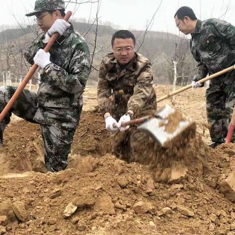 爱心助农送劳力，守护果园解民忧-河庄坪镇党委全力组织民兵应急排及退役军人开展果树防冻工作