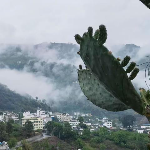 大寨童欣幼儿园 “清明节” 主题活动！