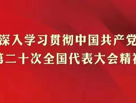 淇县农信联社认真学习党的二十大精神（五）