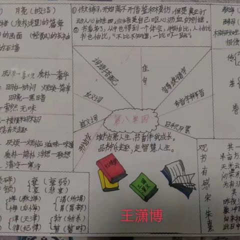 王安房小学五年级语文第八单元思维导图