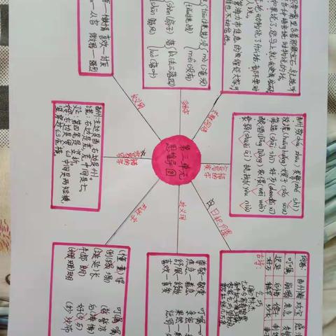 王安房小学五年级上册语文第三单元思维导图集