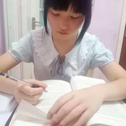 暑假生活——学习篇