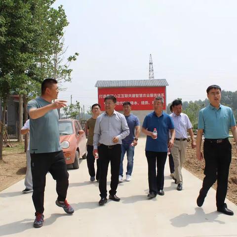 【黄河镇】淄博博信农业科技有限公司总经理王信宝一行到黄河镇考察农业项目